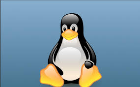 Linux 停止tomcat 报：JDWP exit error AGENT_ERROR_TRANSPORT_INIT(197): 